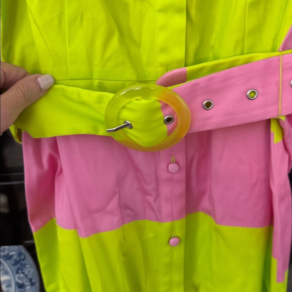 Alden Adair Neon Pink & Lime Stripe Mini Dress with Belt - Picture 3 of 5